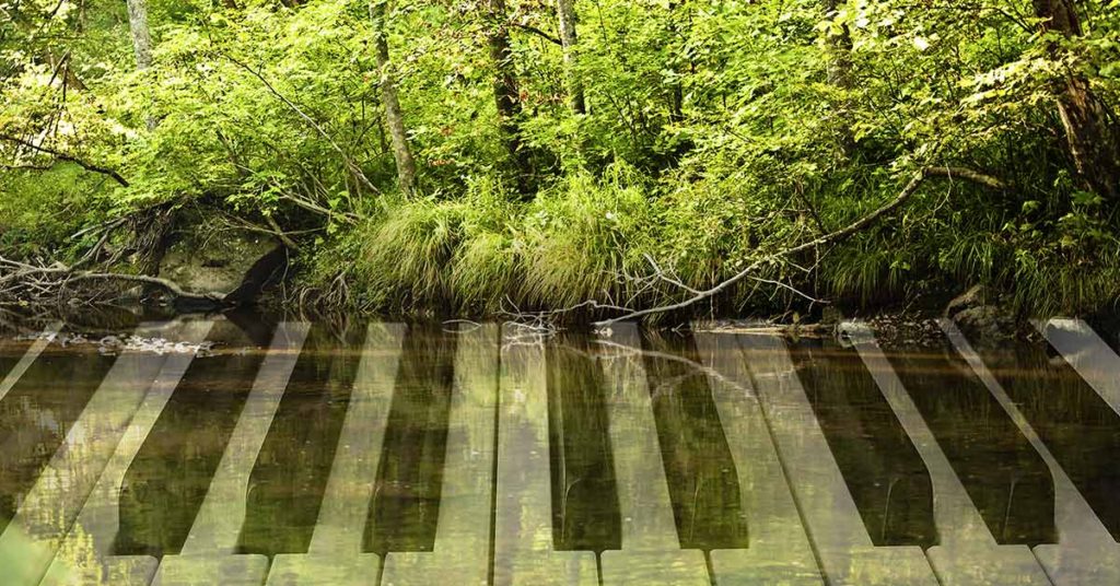 Ethereal Sounds Are Emanating From the World’s First ‘Piano’ Made From Plants - Featured image