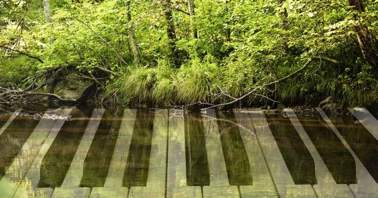 Ethereal Sounds Are Emanating From the World’s First ‘Piano’ Made From Plants - Featured image