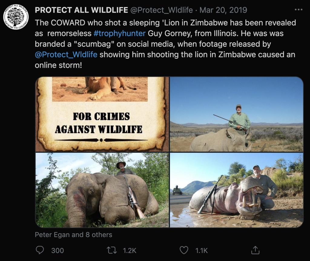 Screen shot from Twitter depicting Guy Gorney standing over his dead prey including a lion, rhino, elephant, and hippo. 