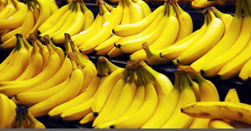 Your Favorite Banana Could Go Extinct Thanks To A Deadly Fungus - Featured image