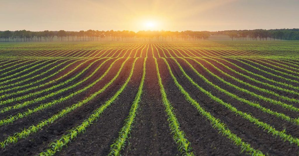 Bill Gates Attempts to Explain Why He Bought More Farmland Than Anyone Else in America - Featured image