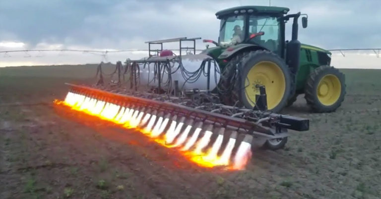 Flamethrowing Tractors: A New Weapon in the War on Weeds and Pests - Featured image