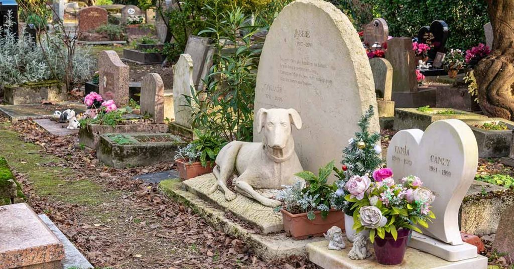 Law Allows Pets To Be Buried Alongside Their Humans At Cemeteries - Featured image