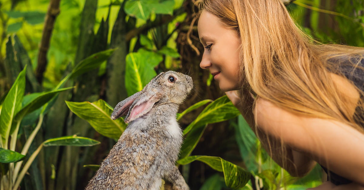 woman touching noses playfully with a rabbit