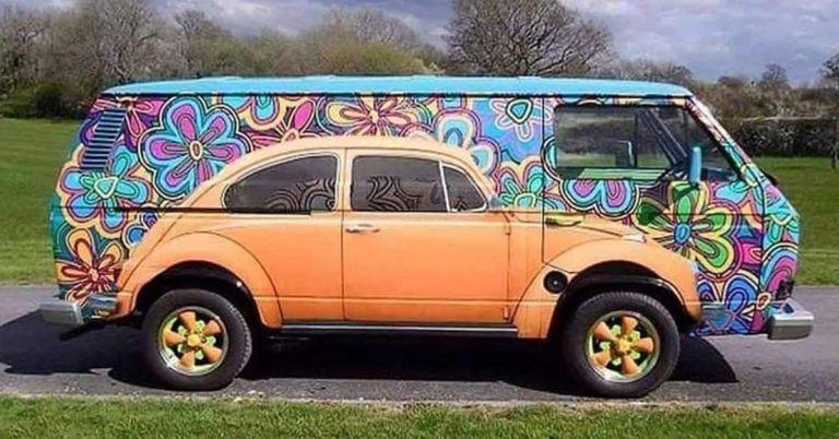 The Volkswagen Type 2 Bus: A Timeless Classic, Check out What This Vehicle Looks like with the VW Beetle Painted on It - Featured image