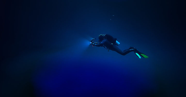 Deep Sea Ghost Shark Was Finally Caught on Camera – and Yes, these Pictures are Real! - Featured image