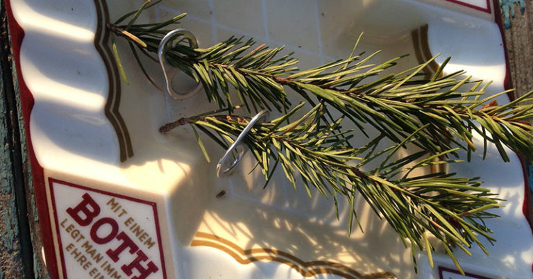 After Years of Helping Crow Family, Man Was Left ‘Mind-Blown’ Over Their Homemade Gifts in Return - Featured image