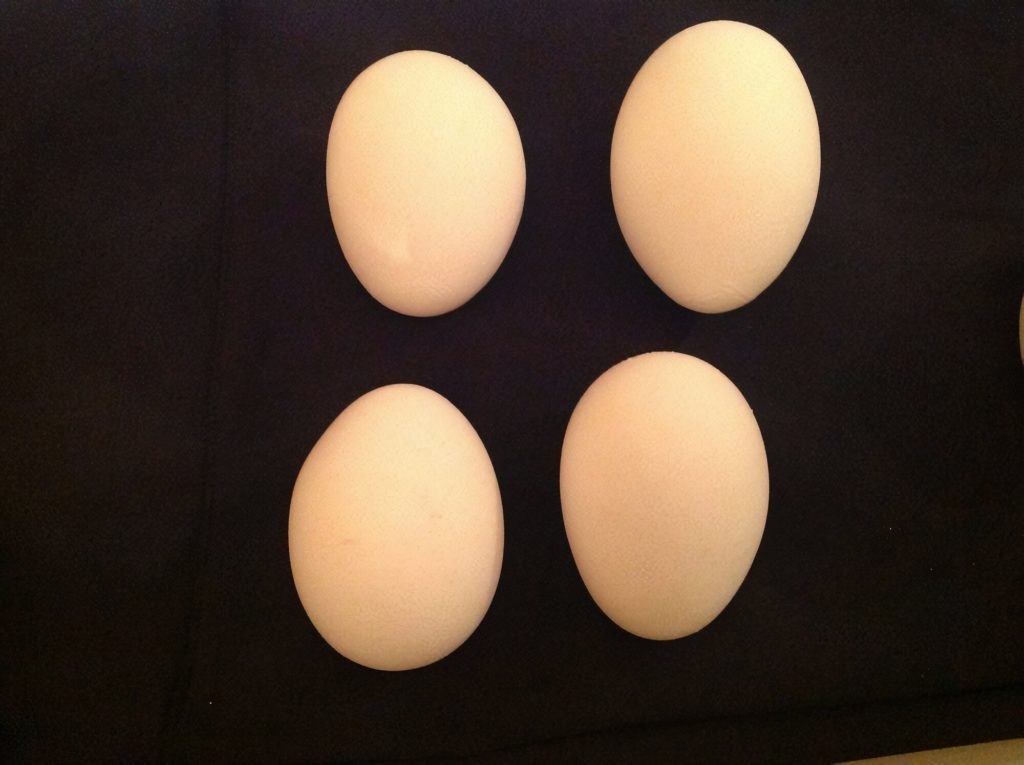 Misshapen or oddly-shaped eggs
