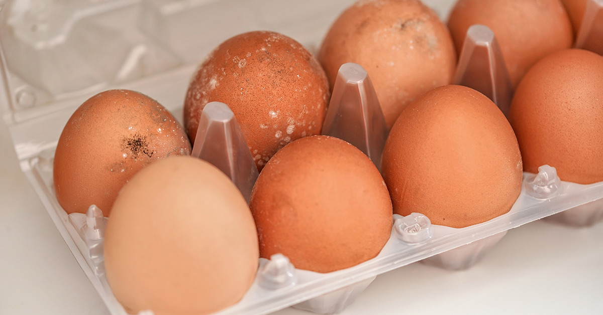 carton of eggs with mild shell defects