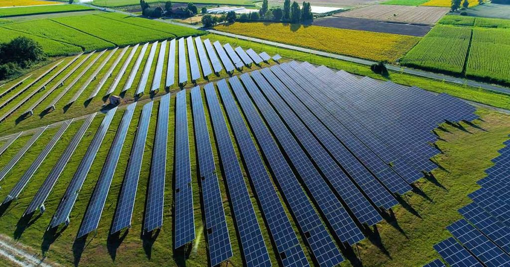 Power Above, Berries Below: Farmers Reap Double Benefits With Solar Power in Fields - Featured image