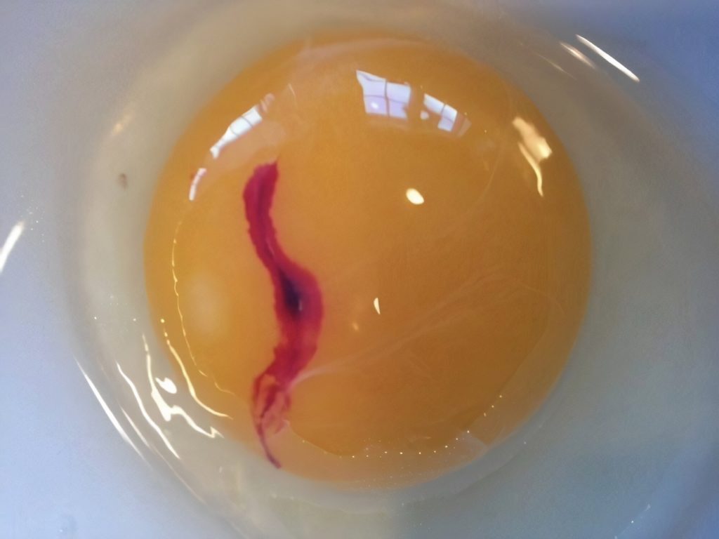 Blood spots in yolks
