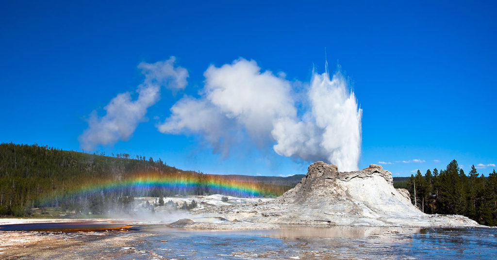 Woman in Coma After Diving Into Yellowstone Hot Spring to Save Puppy - Featured image