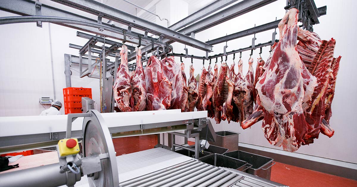 meat processing plant