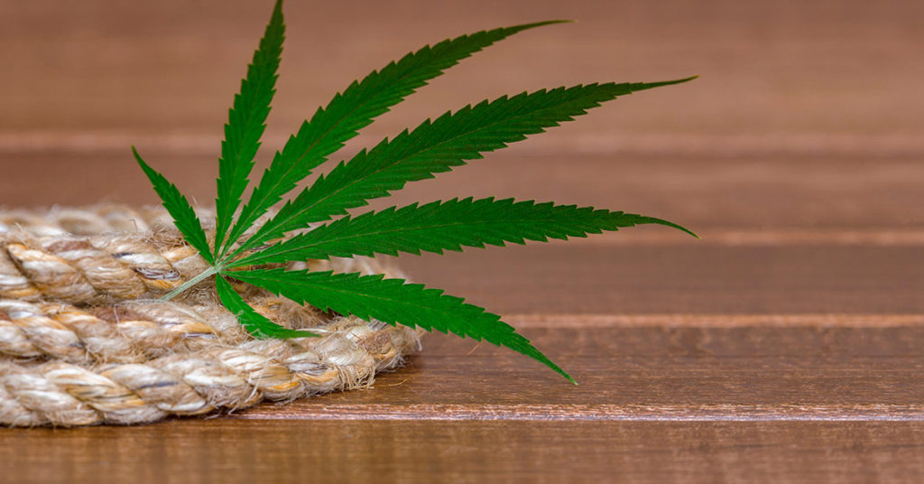 Hemp is the New Oak: America’s First Hemp “Wood” Factory is Already Here - Featured image