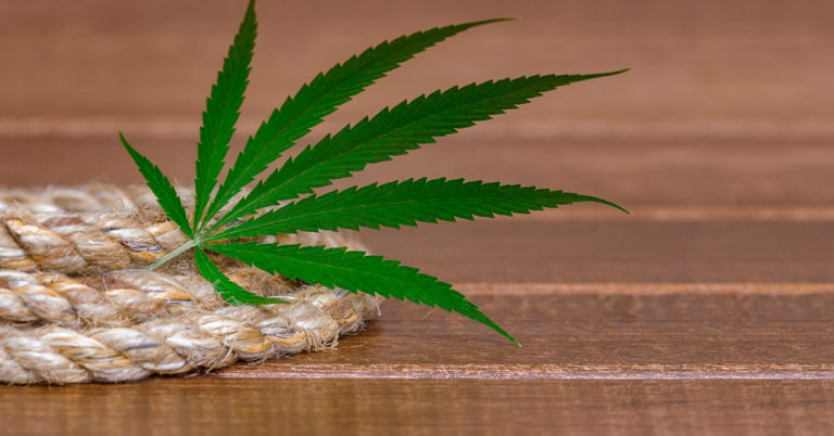 Hemp is the New Oak: America’s First Hemp “Wood” Factory is Already Here - Featured image