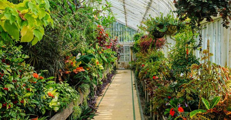Couple Built Greenhouse Around Home To Grow Food And Keep Warm - Featured image
