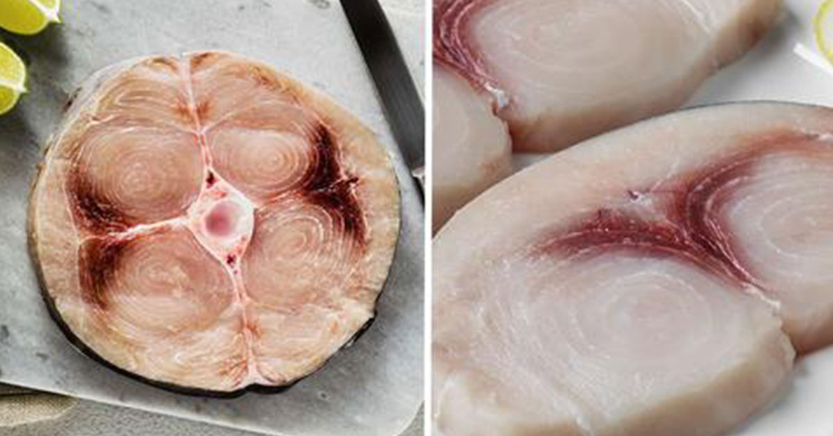 raw butchered swordfish fillets
