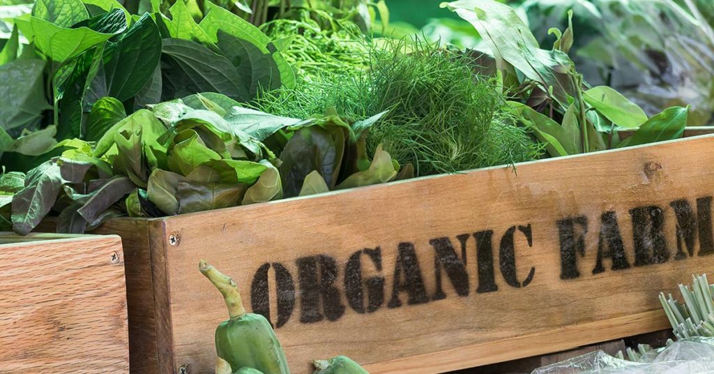 “You Can’t Do It Just Because of Money:” The 40,000 Acre Farm That Silenced Doubters By Going Organic - Featured image