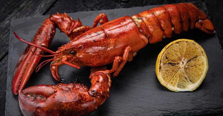 Lobster Is The Biggest Scam Of The Food World - Featured image