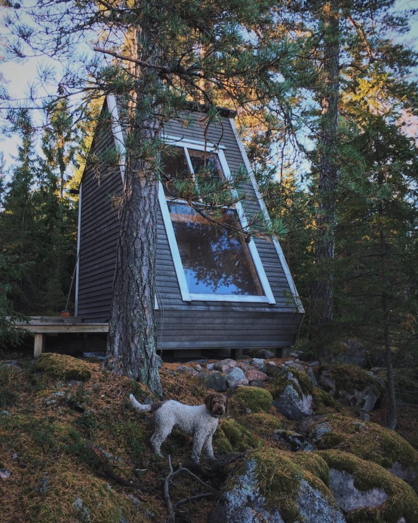 The tiny cabin's window points towards the stunning canopies