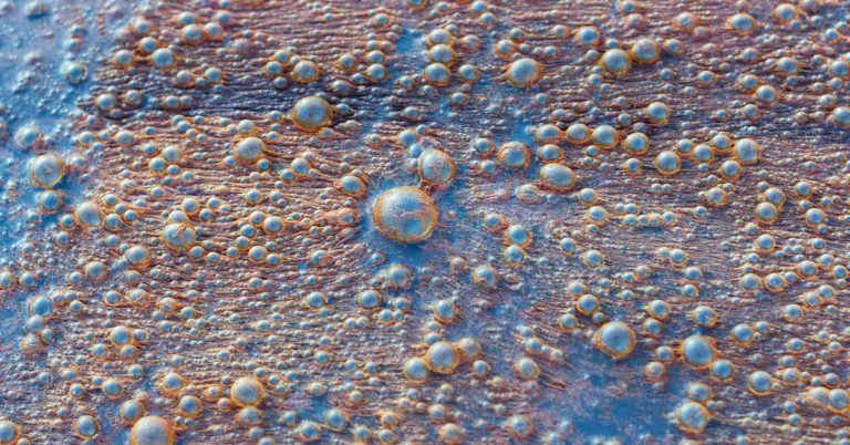 Man Harvests Methane for 8 Hours to Fuel Bike That Runs on Swamp Gas - Featured image