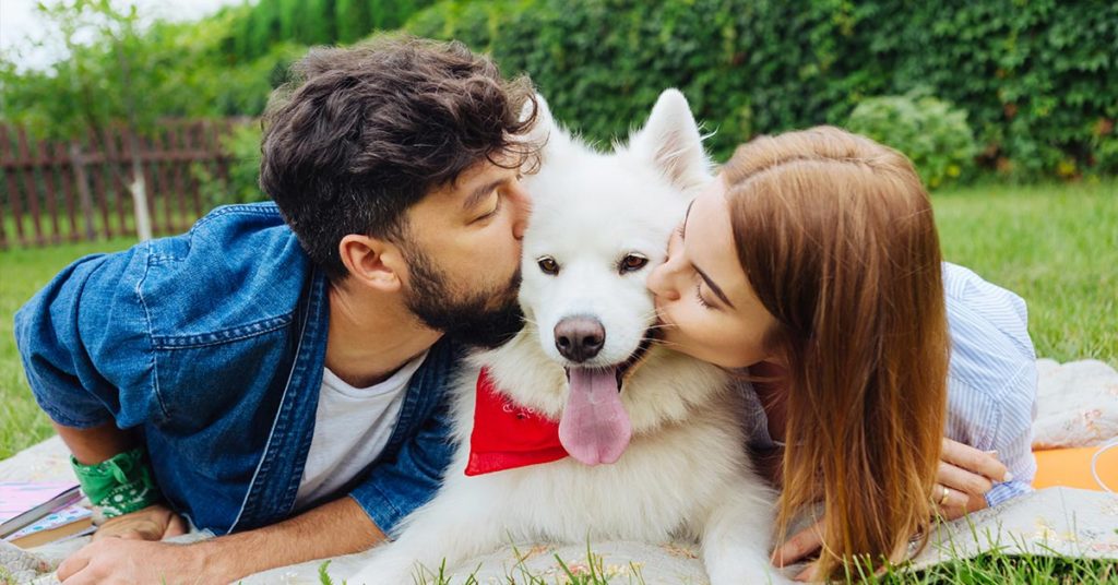 Pope Francis Says Couples Who Opt For Pets Over Children Are ‘Selfish’ - Featured image