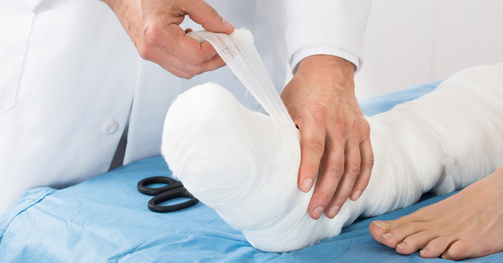 Dog May Be Euthanized For Biting Off The Toe Of Man Who Kicked Him - Featured image