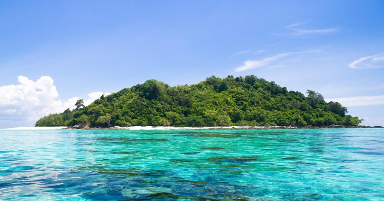 A Ruined Millionaire From Australia Lives Alone On A Desert Island For More Than 20 Years - Featured image