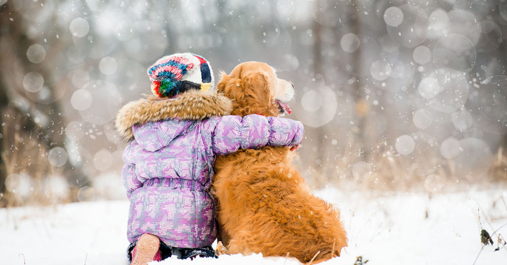 10-Year-Old Girl Survives -11°C Blizzard By Hugging Stray Dog - Featured image
