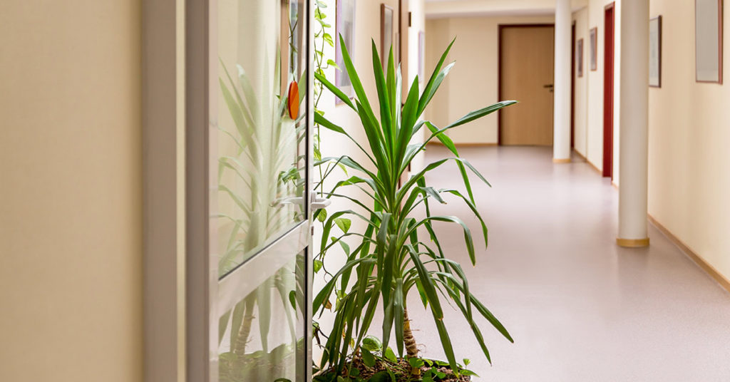 Disturbing Houston Nursing Home Experience Shared by Victim’s Granddaughter - Featured image