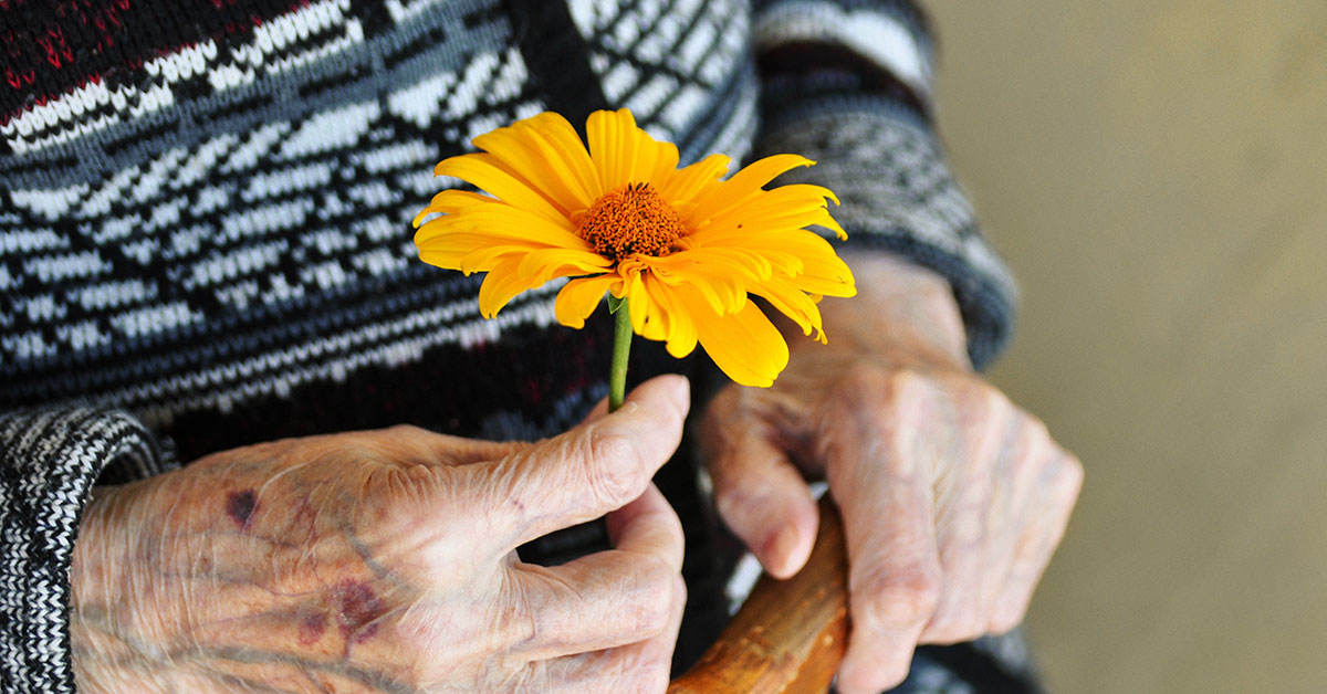 elderly person holding a yellow flower