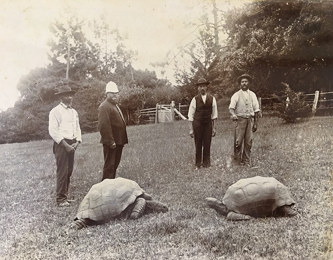 Jonathan (left) in the 1880s on the grounds of Plantation House, St Helena