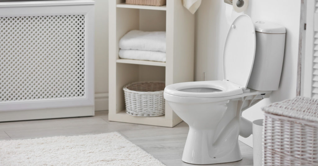 5 Creatures That Can Crawl In Through Your Toilet and How to Stop Them