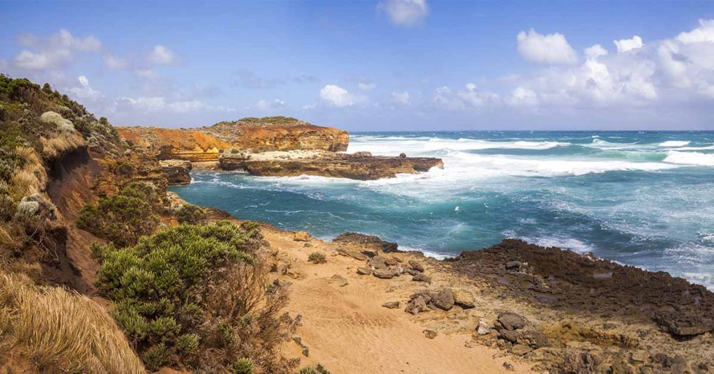 Strange Colourful Creatures Wash Up On Australian Shores Following Record Rainfall - Featured image