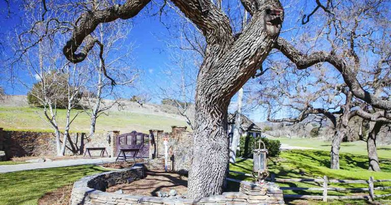 Documentary Exposes The Horrors Of Michael Jackson’s Neverland Zoo - Featured image