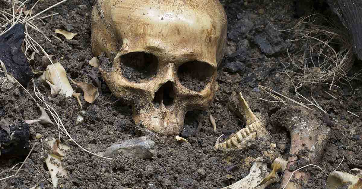 human skull and bones in dirt