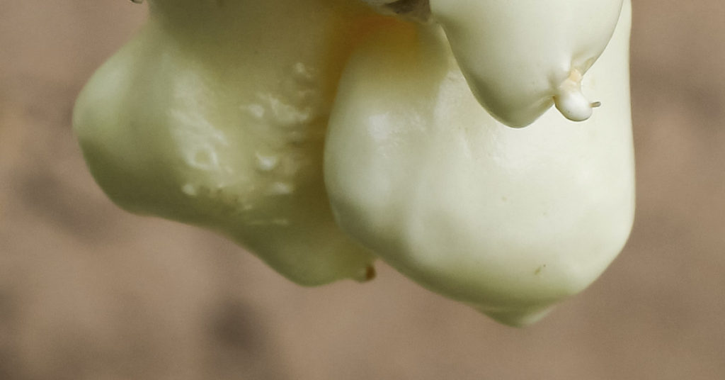 Woman Finds Mysterious ‘Egg’ In Her Home. Father-In-Law Tells Her To Get Out Fast - Featured image