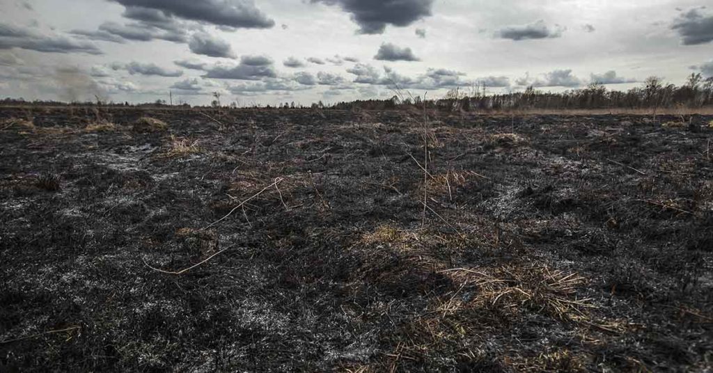 MIT Predicted in 1972 That Society Will Collapse This Century. Research Shows We’re on Schedule - Featured image