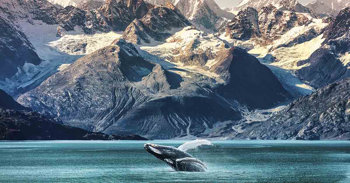 Alaska whale watching boat excursion. Inside passage mountain range landscape