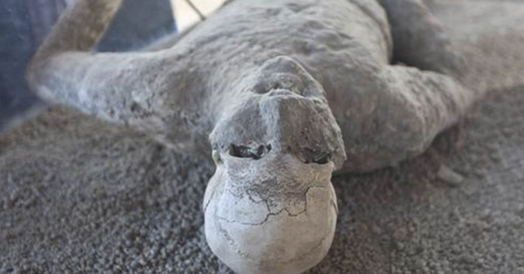 Scientists Successfully Sequence the DNA of Man From the Pompeii Erupt...