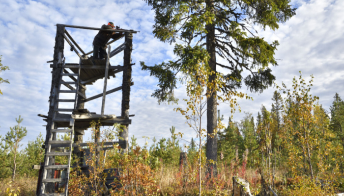 man in hunting tower aiming rifle 