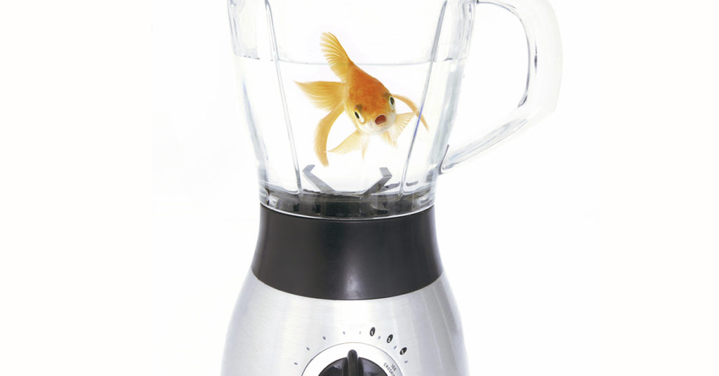 An Artist Placed Goldfish In Blenders And Asked Visitors To Turn Them On - Featured image
