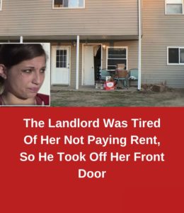 The Landlord Was Tired Of Her Not Paying Rent, So He Took Off Her Fron...