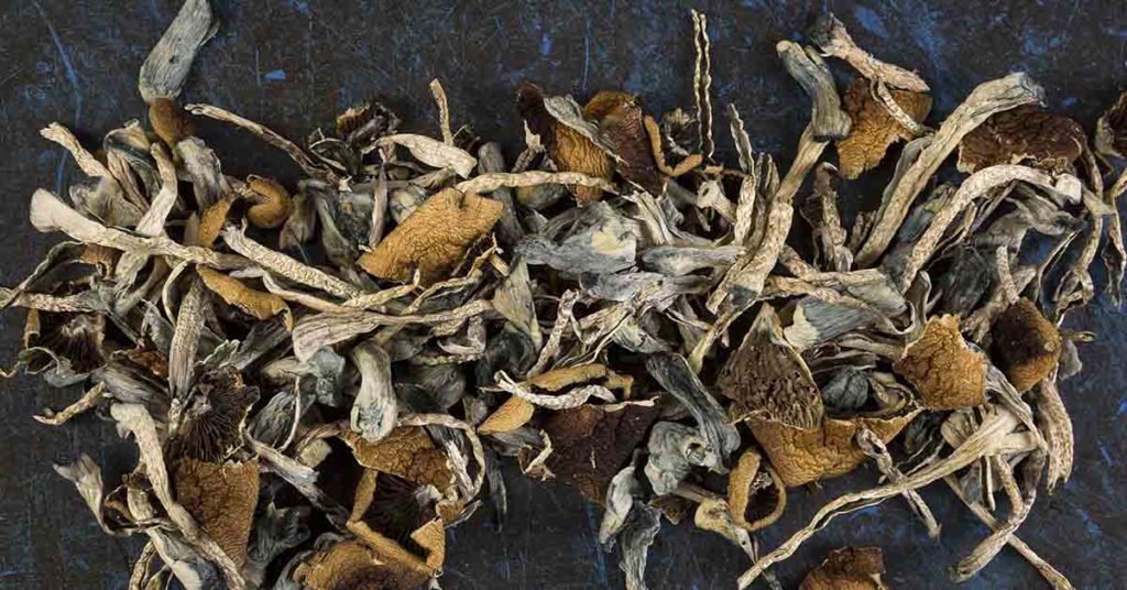 A woman with terminal cancer says taking ‘magic’ mushrooms eased her depression and helped her process a miscarriage she had decades ago - Featured image