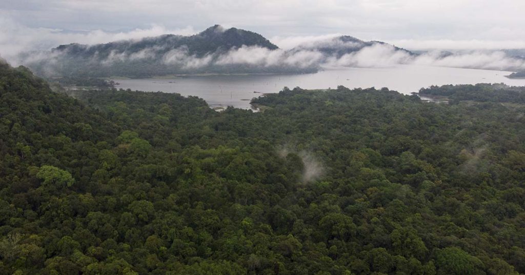 Billionaire-funded eco group taking farmland out of production in rural America - Featured image