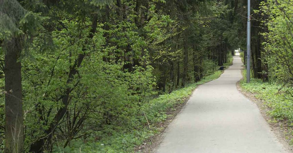 The Longest Walkable Distance On Earth Which No One Is Known To Have Completed - Featured image