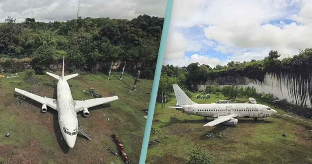 Boeing 737 mysteriously discovered in random field and no one knows ho...