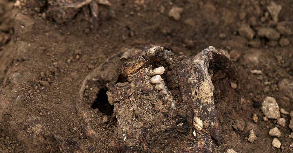 Archeologists discovered a 17th-century Polish ‘vampire’ with a sickle across her neck meant to prevent a return from the dead - Featured image