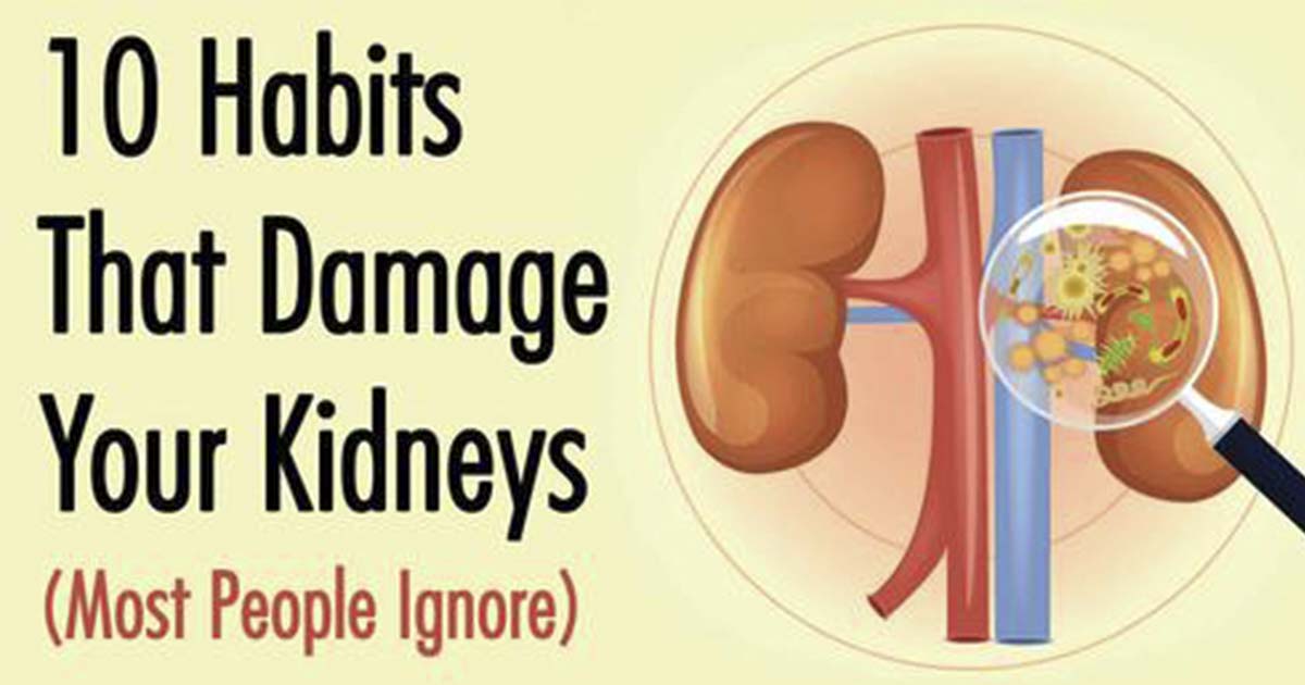 10 Habits That May Contribute to Damaging Your Kidneys The Premier Daily