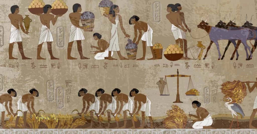 Agriculture: The Worst Mistake Humans Ever Made? - Featured image